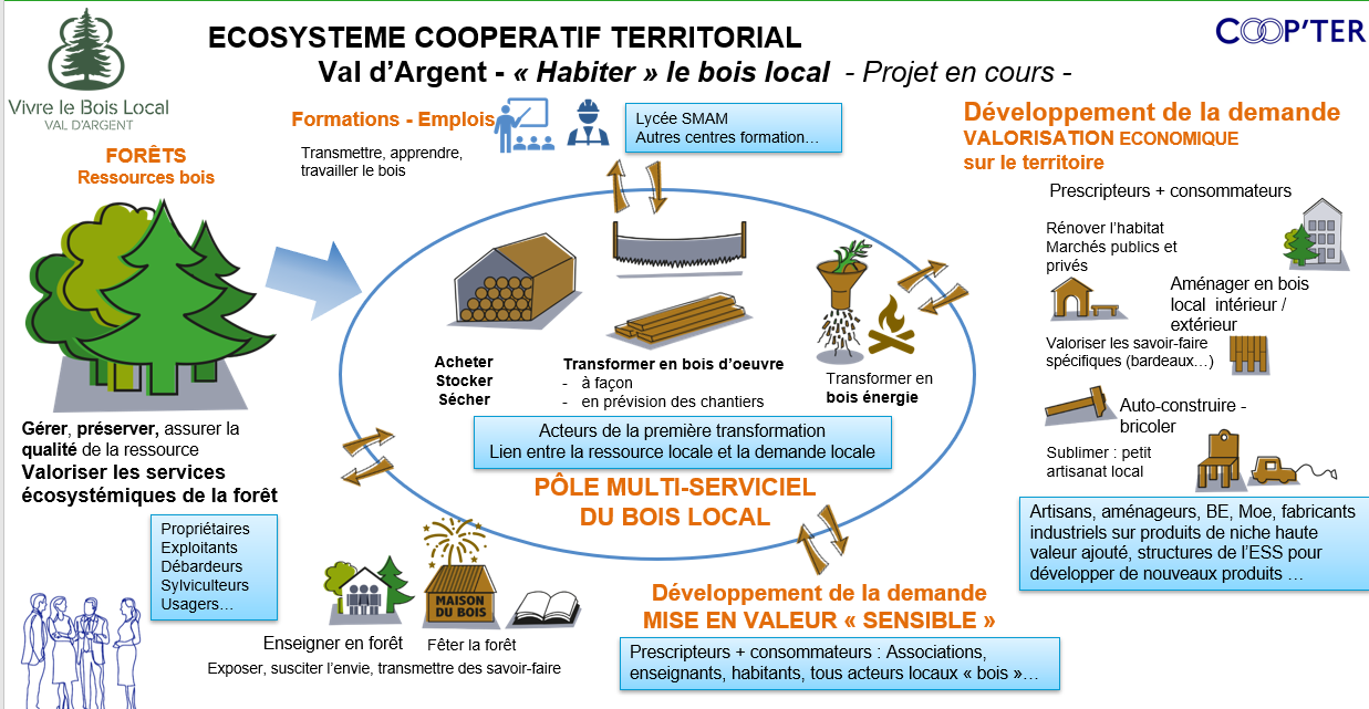 COOPTER schma global image 2024
