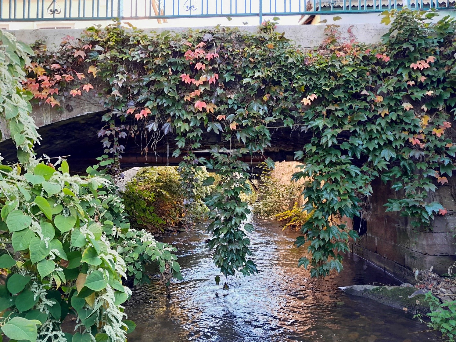 Rivière SMAM