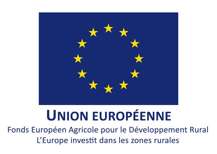 Logo UE web